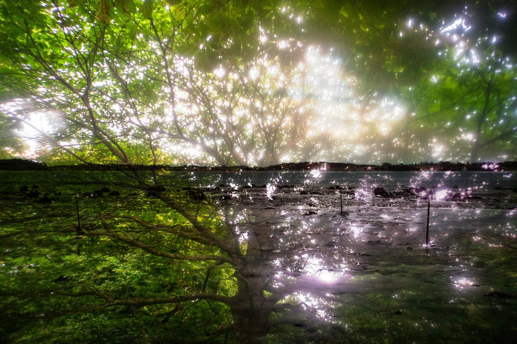Filmswap dobbelteksponering — eksempel 2