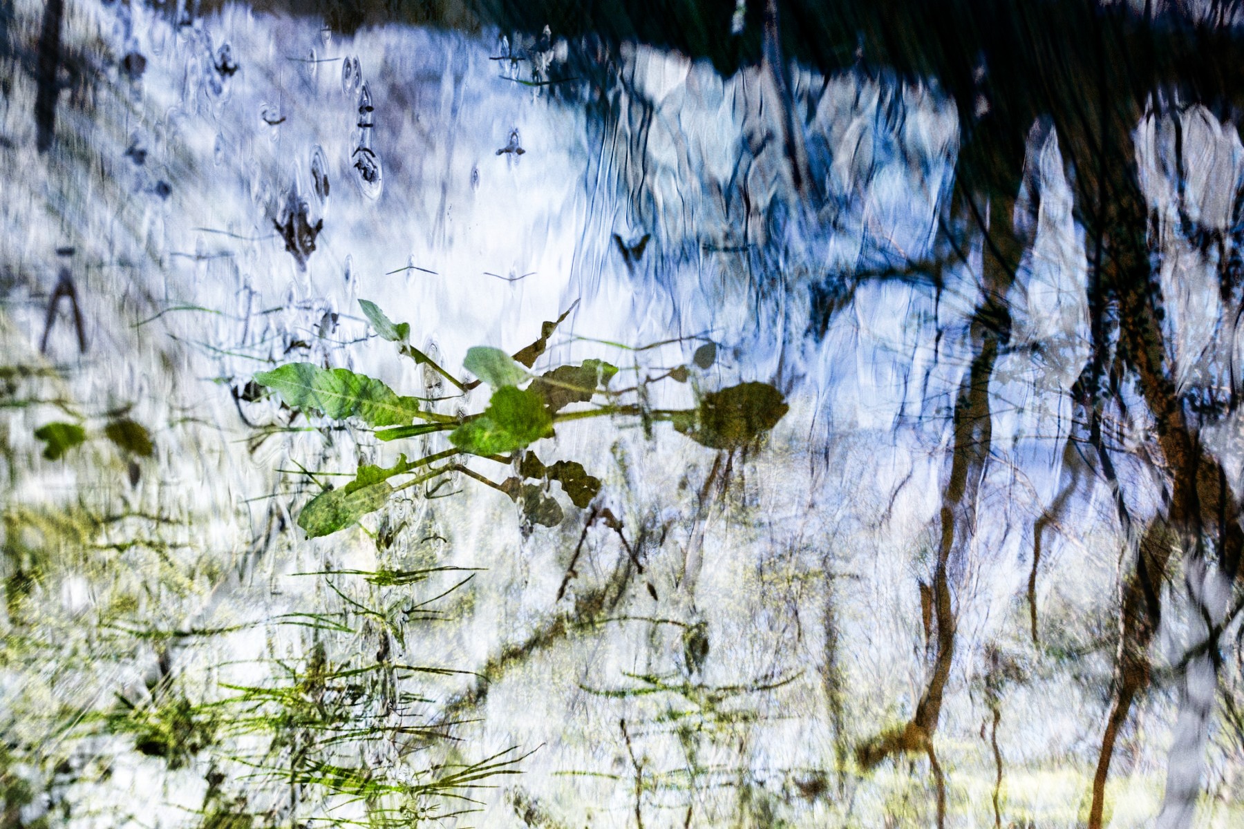 Filmswap dobbelteksponering — eksempel 5
