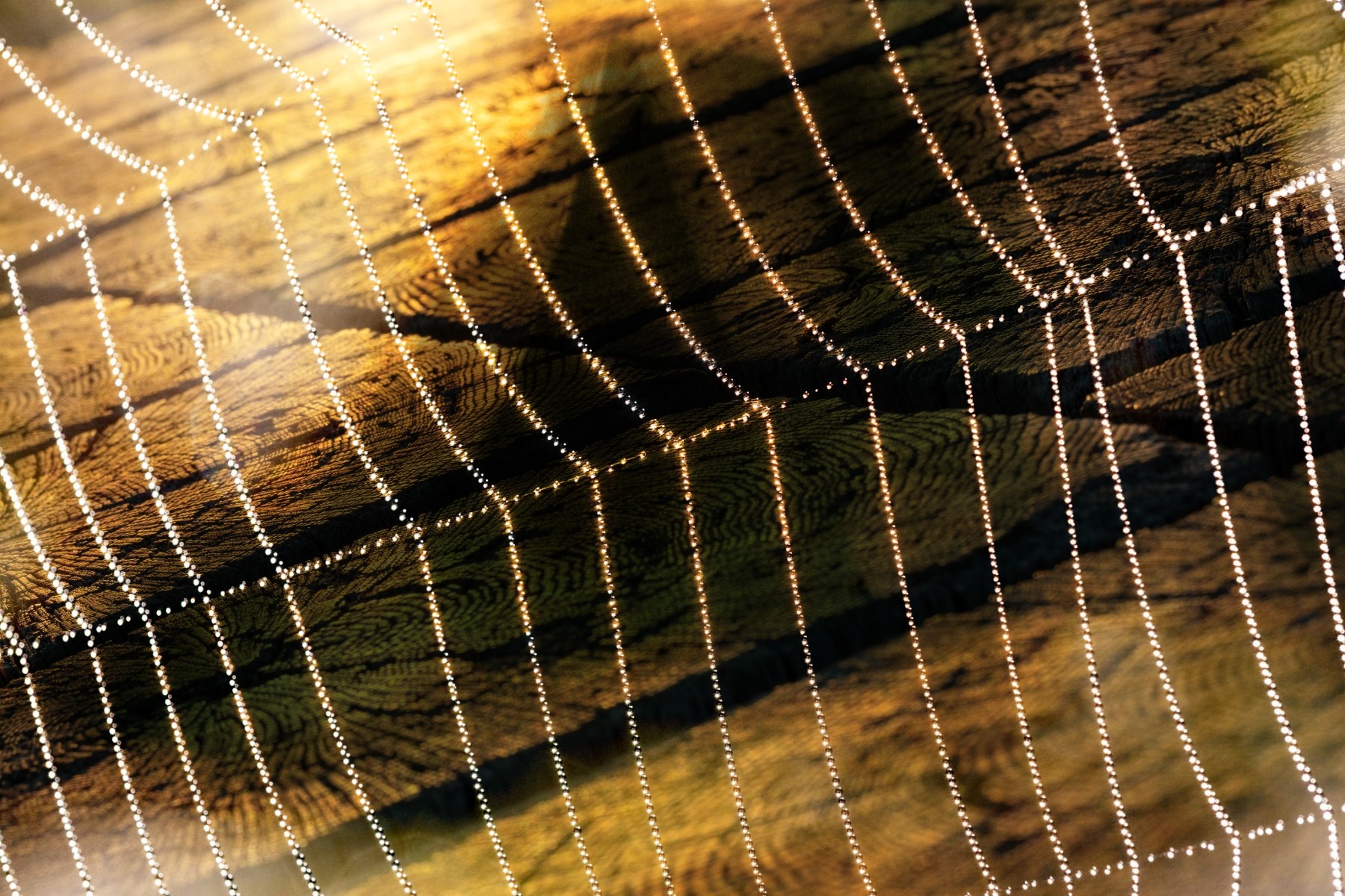 Filmswap dobbelteksponering — eksempel 7